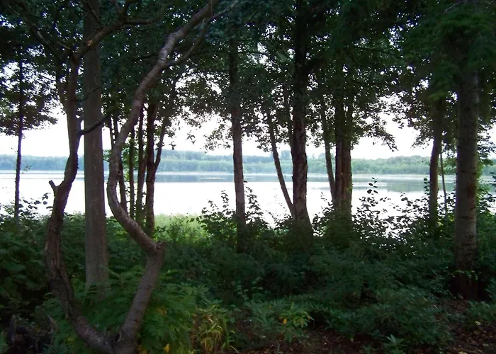 Mobile Im Mit Seezugang Ferienhaus Dabel