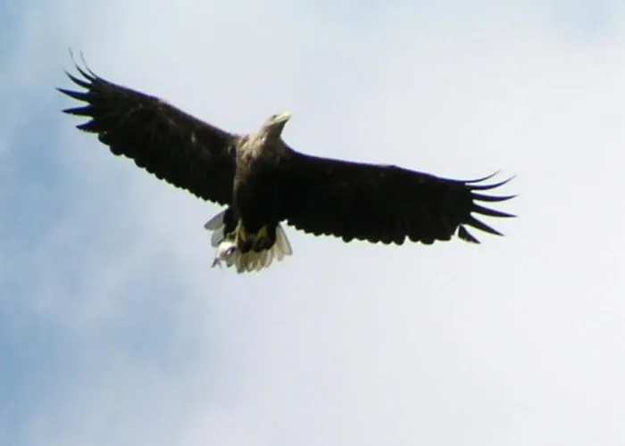 Mobile Im Mit Seezugang بيت للعطل Dabel